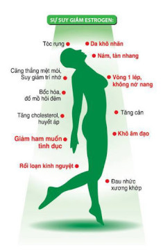 Hưởng ứng Ngày mãn kinh thế giới (18/10): “Thay đổi lối sống để hỗ trợ hành trình mãn kinh của bạn”