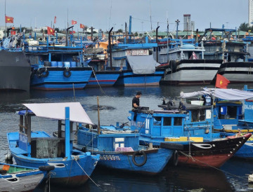 Đà Nẵng kêu gọi người dân trữ lương thực, nhu yếu phẩm ít nhất 3 ngày phòng lũ lớn