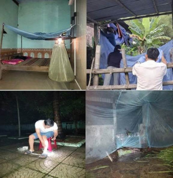 Đà Nẵng: Tăng cường giám sát muỗi Culex – Véc tơ truyền bệnh Viêm não Nhật Bản