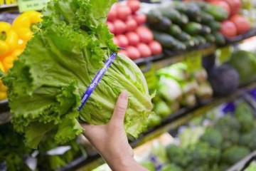 Rau củ quả – “Lá chắn xanh” bảo vệ sức khỏe mỗi ngày