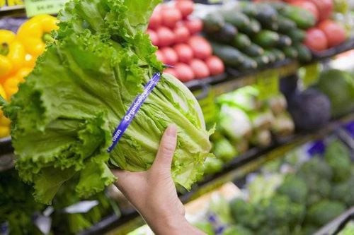 Rau củ quả – “Lá chắn xanh” bảo vệ sức khỏe mỗi ngày