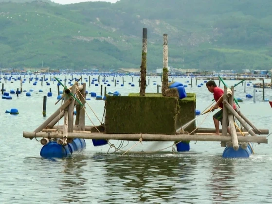 Khẩn trương tổng hợp nhu cầu về giống, thức ăn và vật tư thủy sản để khôi phục sản xuất sau mưa lũ