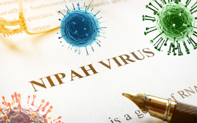 Chủ động phòng chống bệnh do virus Nipah tại thành phố Huế