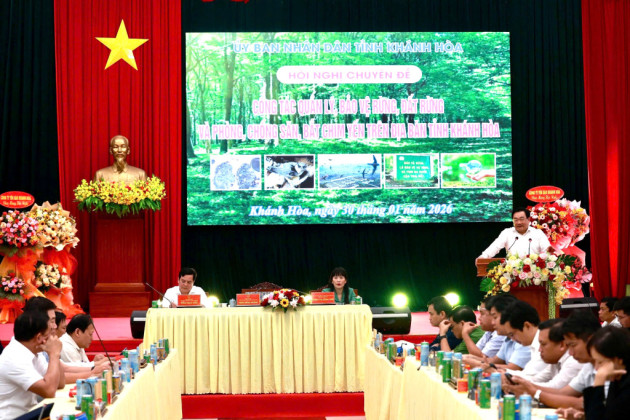 Ngăn chặn săn bắt chim yến trái phép để bảo vệ môi trường và sức khỏe cộng đồng