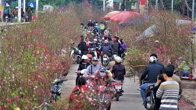 Miền Bắc dự báo đón 3 đợt không khí lạnh trước và sau Tết Nguyên đán